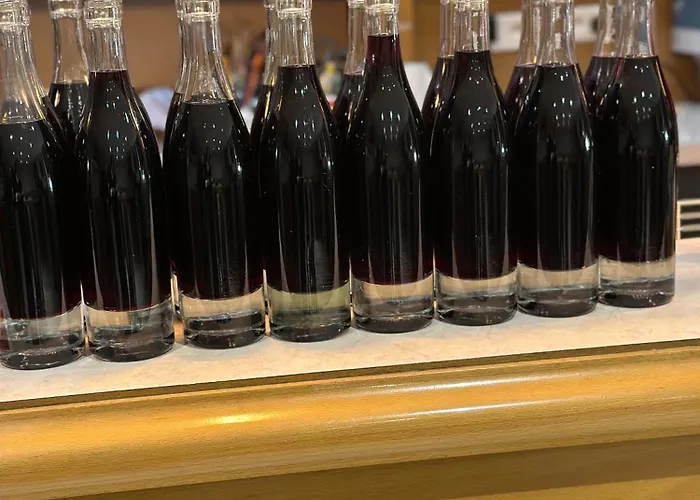 酒店 Logis Du Fer A Cheval 2*