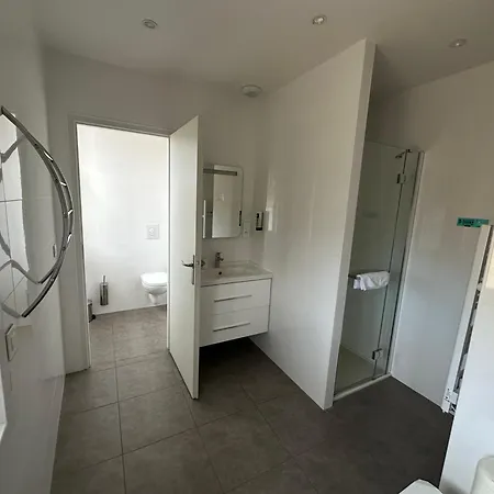 Logis Du Fer A Cheval Hotel Yenne